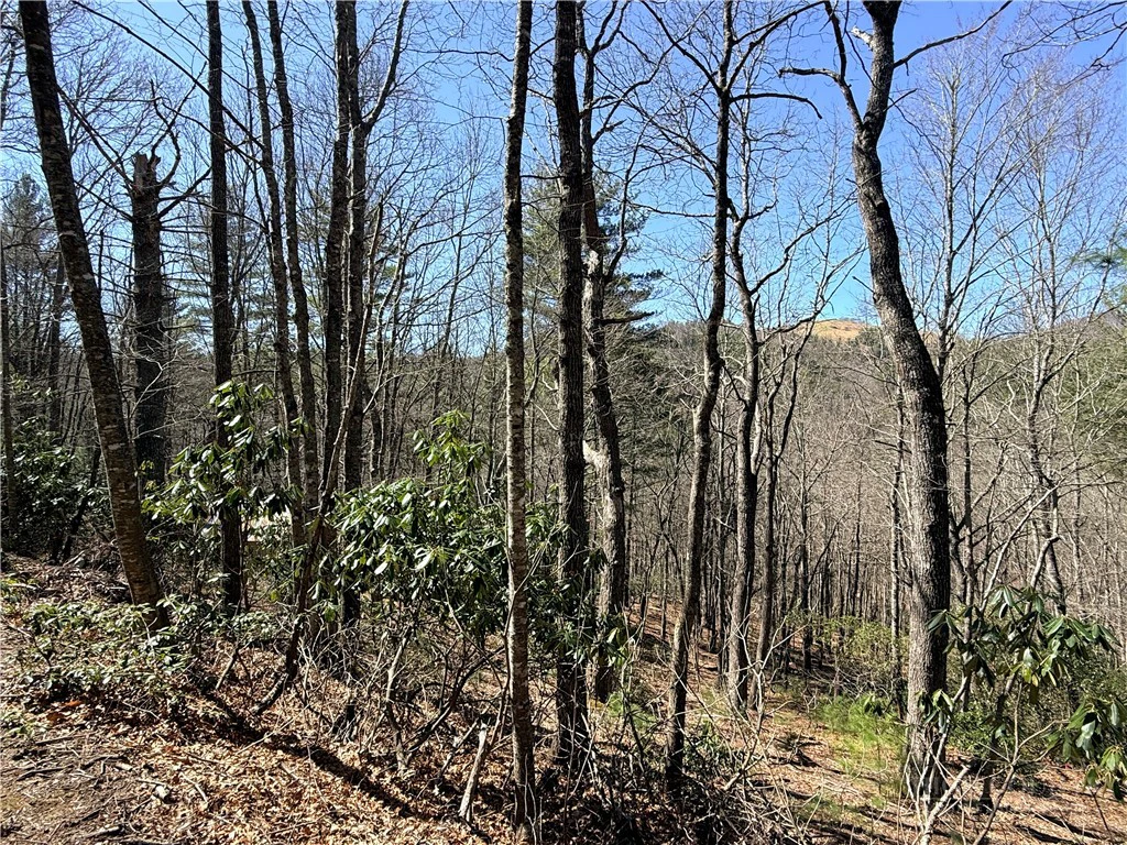 Image number 2 for the current listing