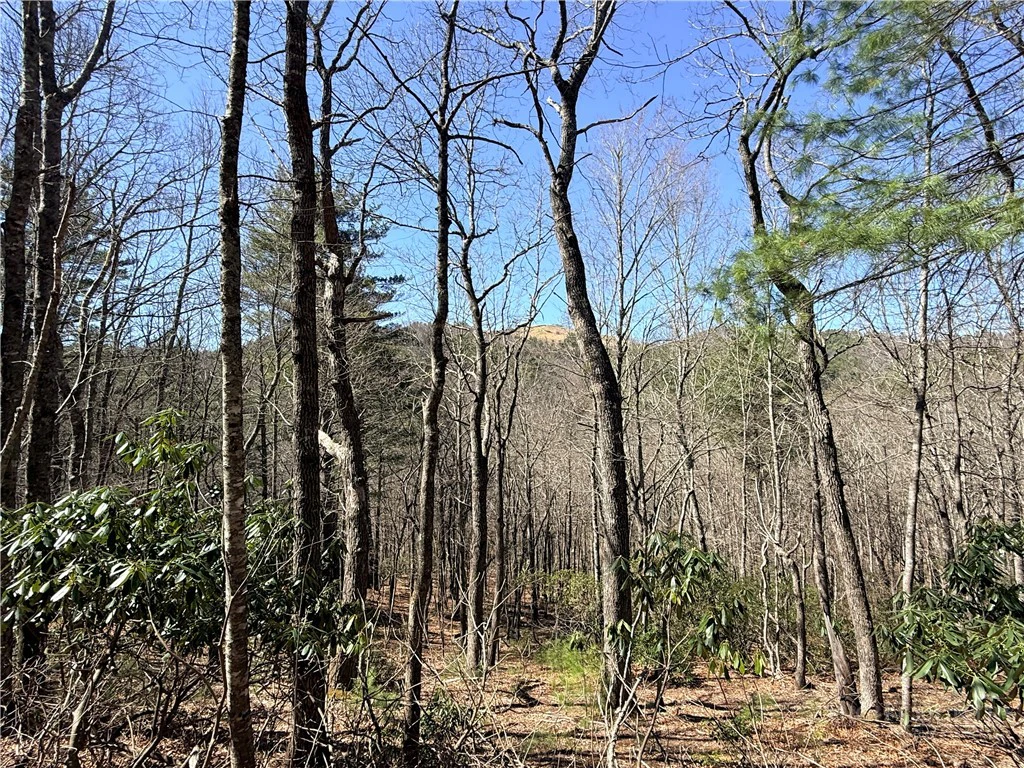 Image number 3 for the current listing