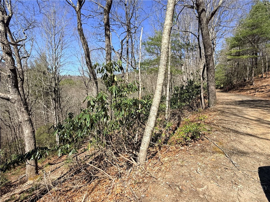 Image number 4 for the current listing