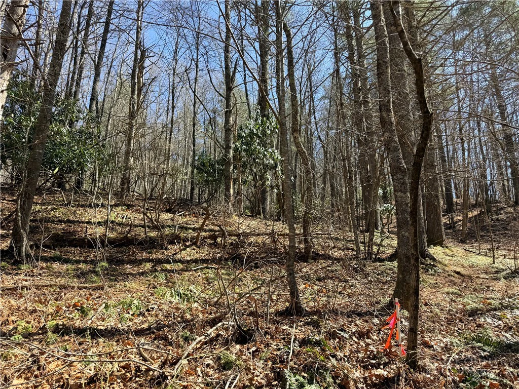 Image number 9 for the current listing