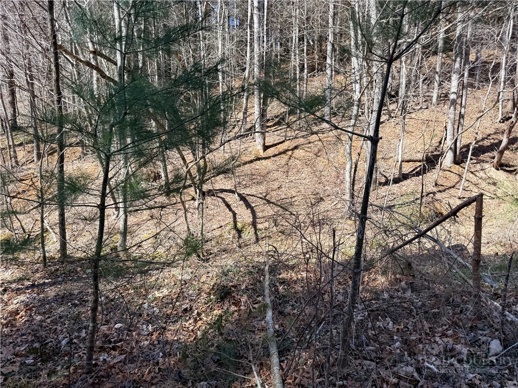 Image number 11 for the current listing