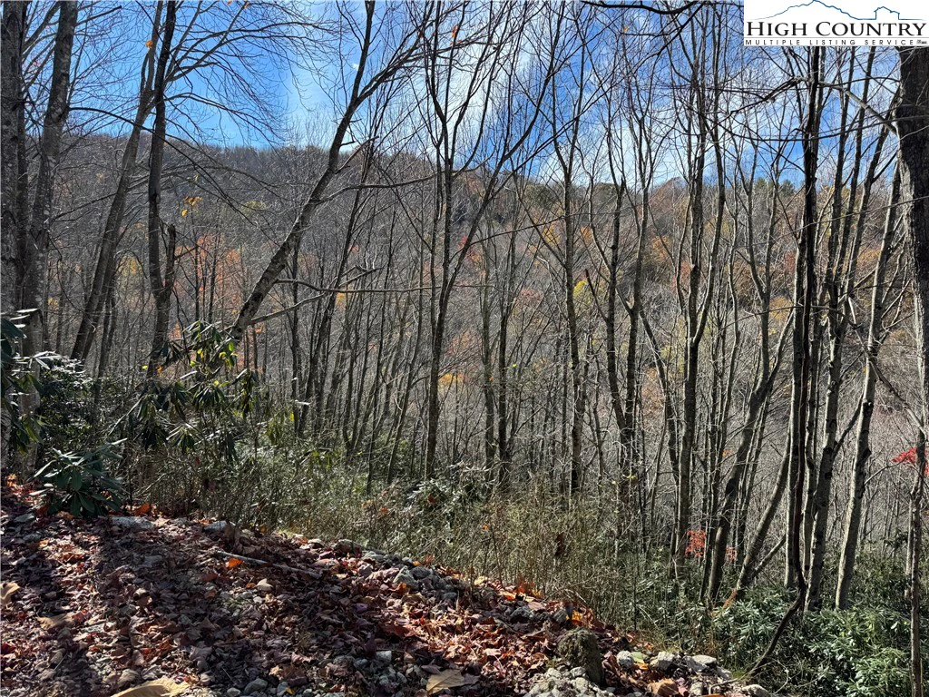 Image number 18 for the current listing