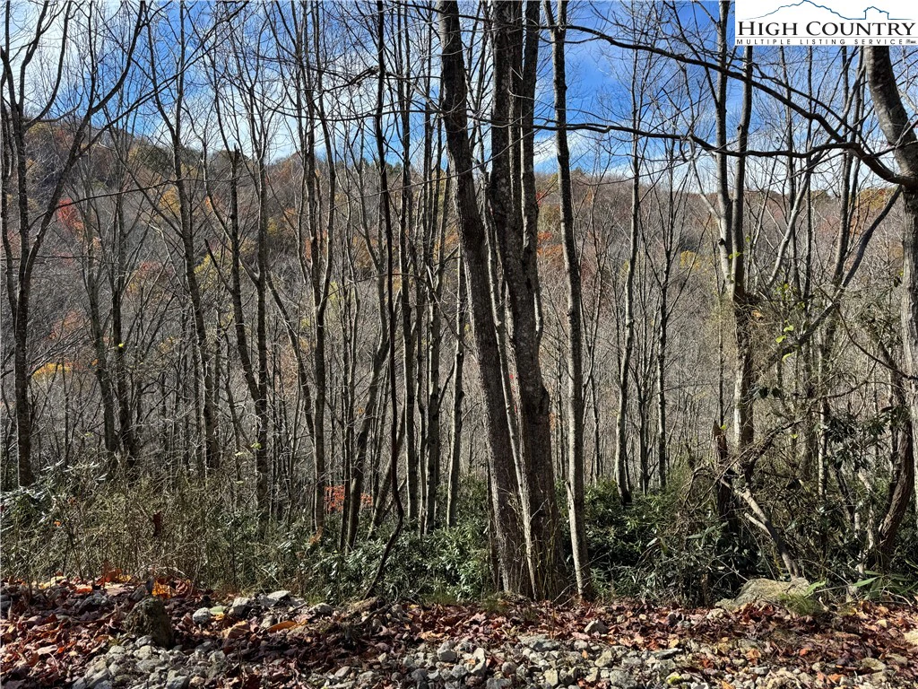 Image number 15 for the current listing