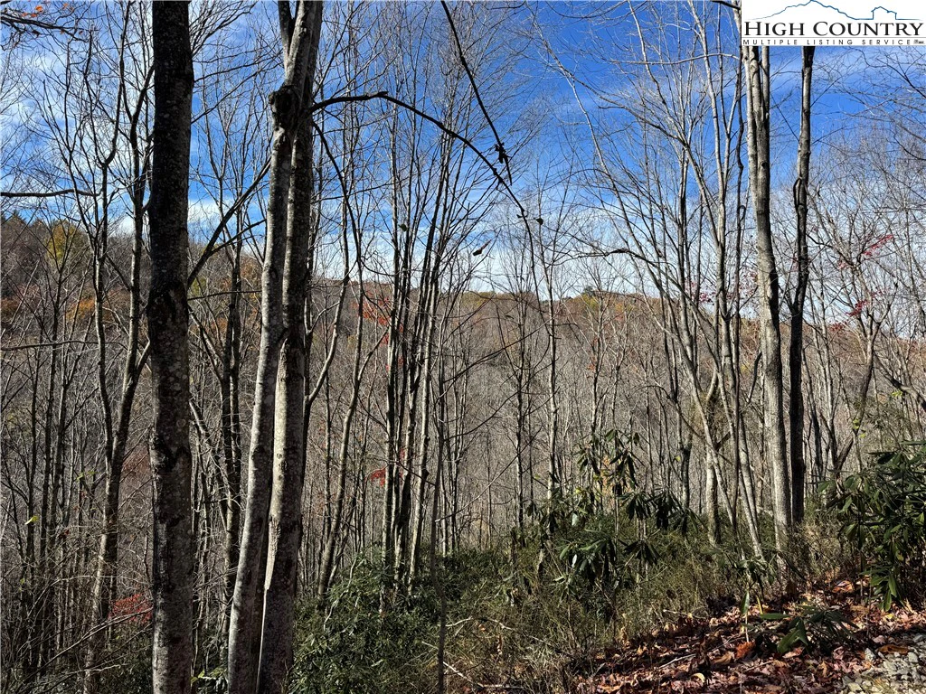 Image number 19 for the current listing
