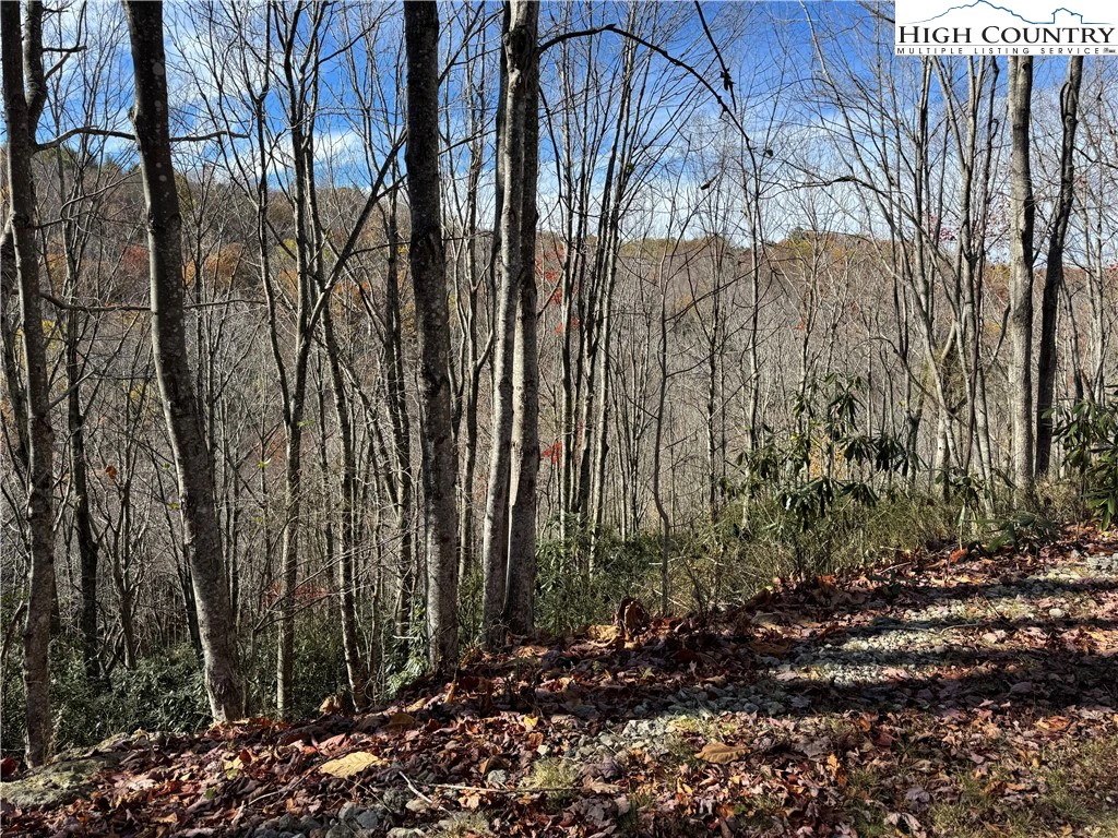 Image number 2 for the current listing