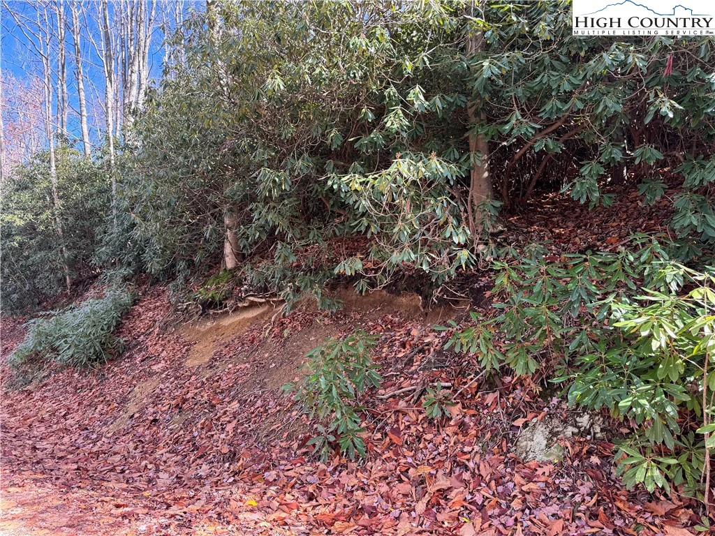 Image number 9 for the current listing