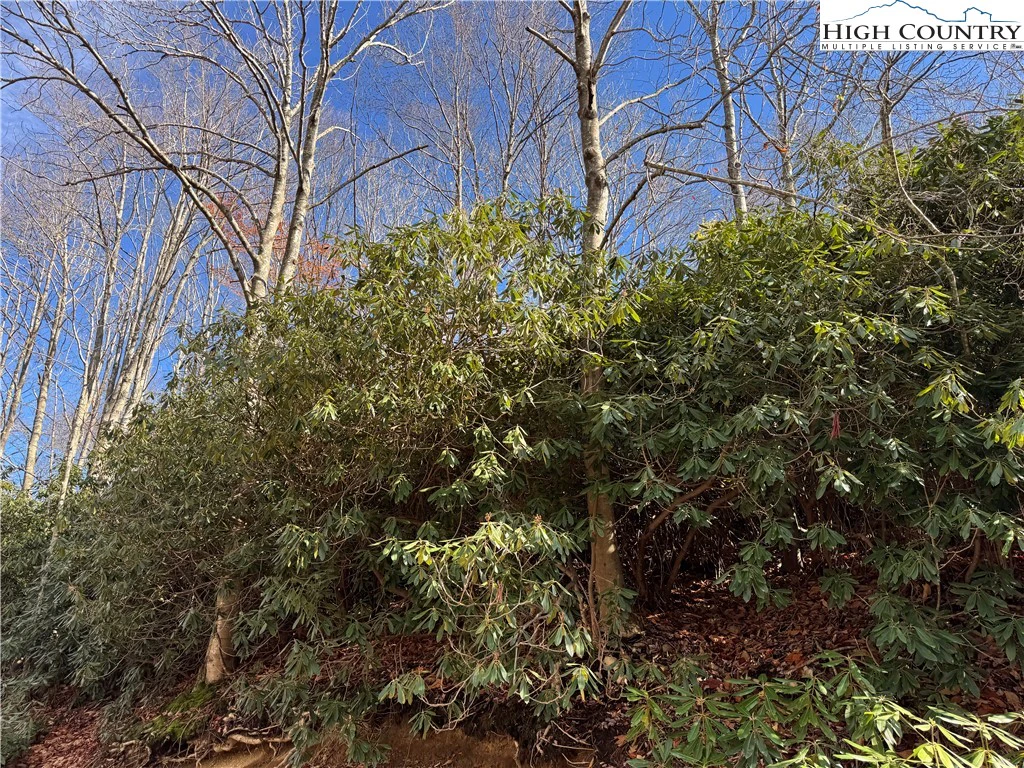Image number 8 for the current listing