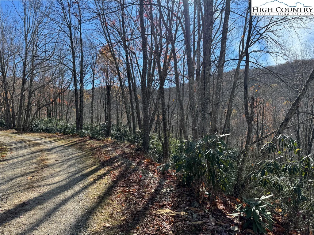 Image number 1 for the current listing