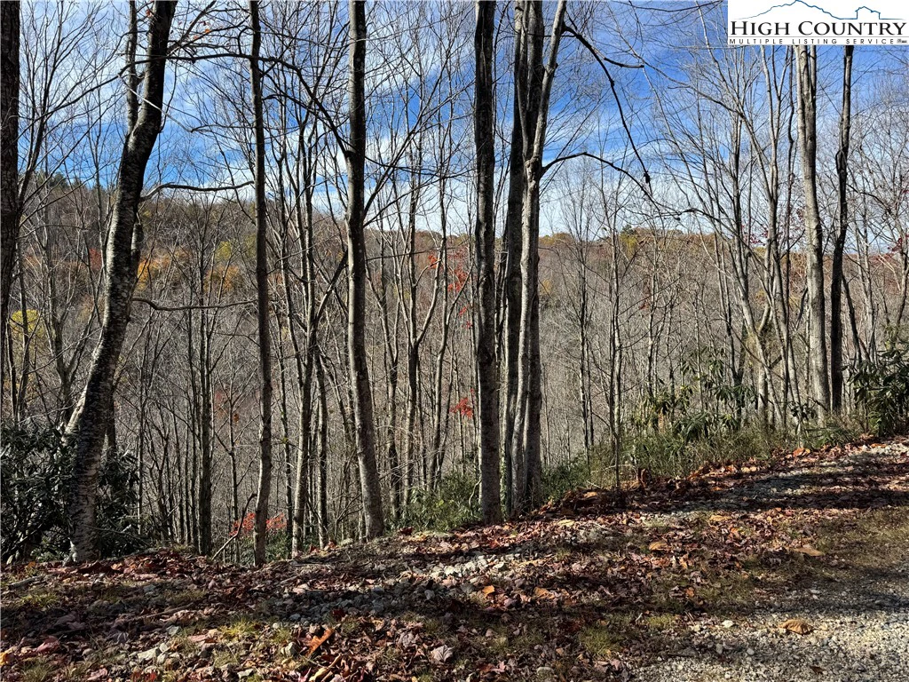 Image number 3 for the current listing