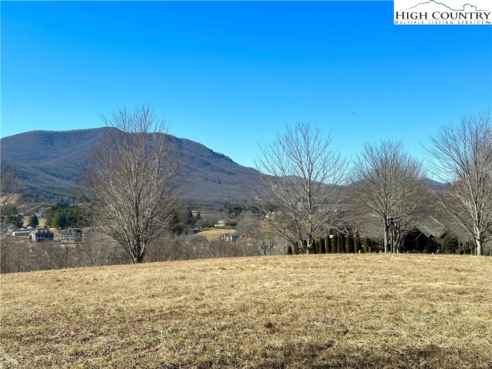 Image number 1 for the current listing