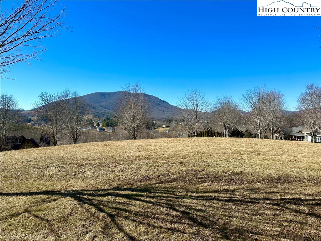 Image number 3 for the current listing