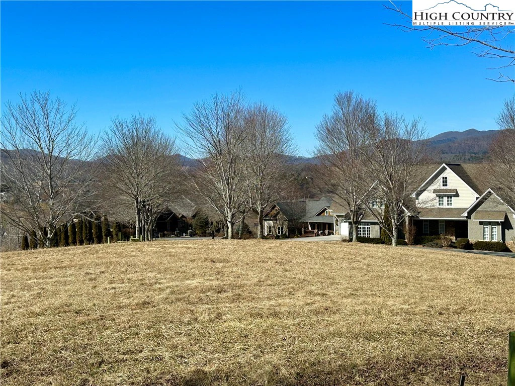 Image number 4 for the current listing
