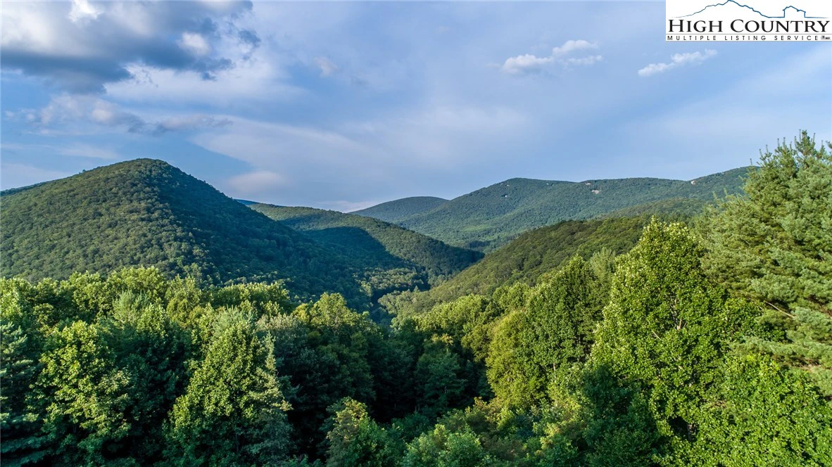 Image number 12 for the current listing