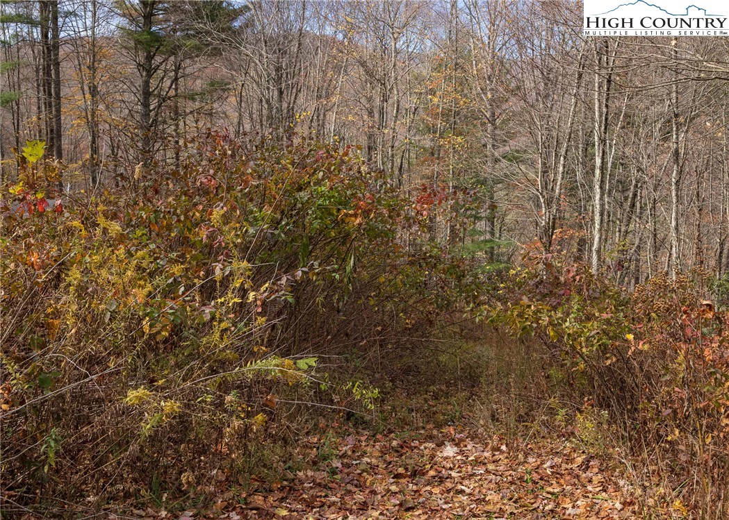 Image number 19 for the current listing