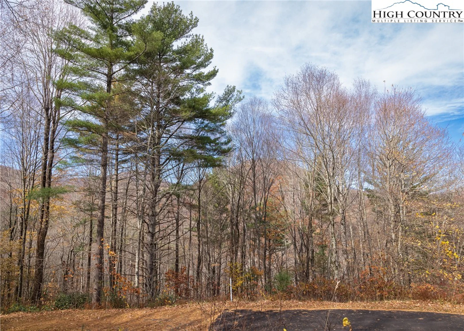 Image number 18 for the current listing