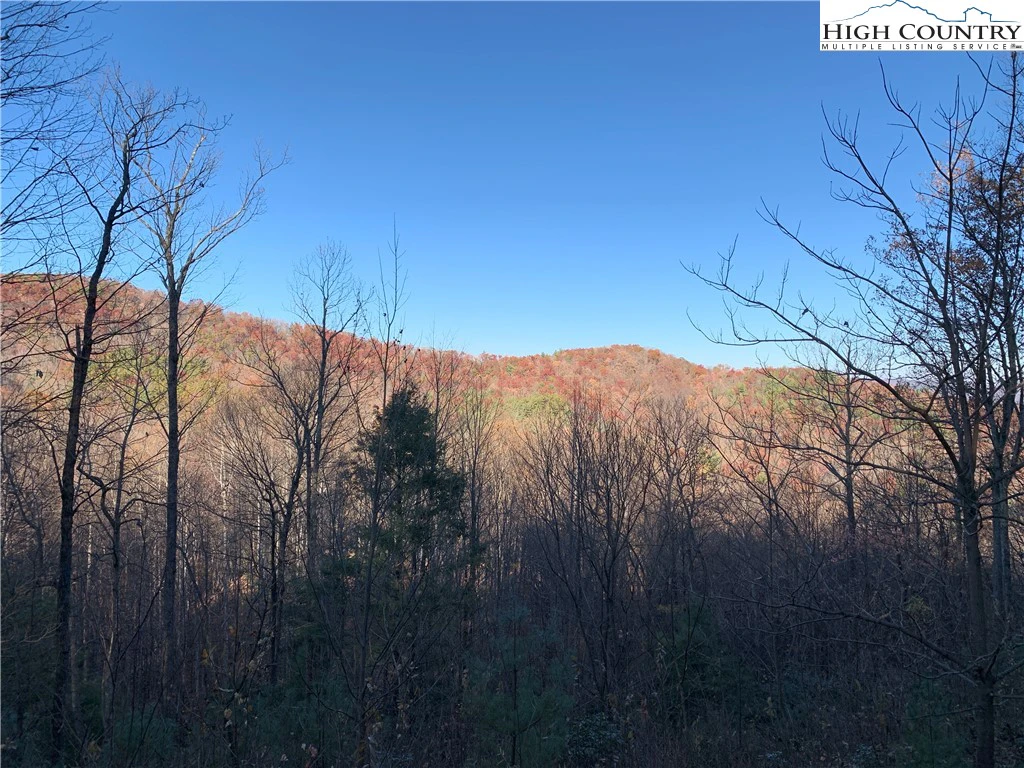 Image number 1 for the current listing