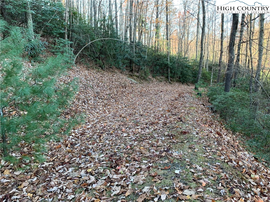 Image number 15 for the current listing