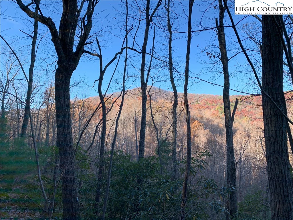 Image number 7 for the current listing