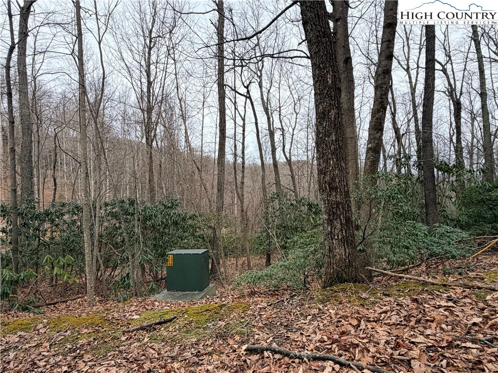 Image number 3 for the current listing