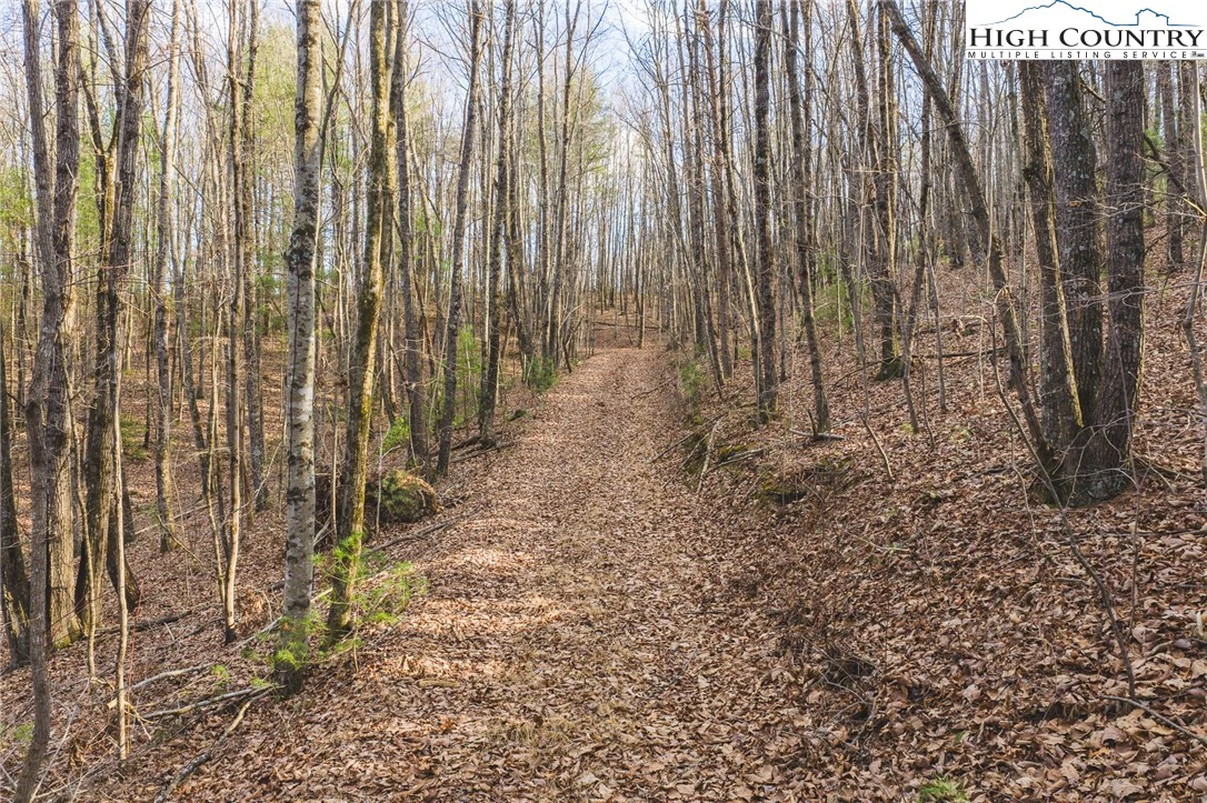 Image number 1 for the current listing