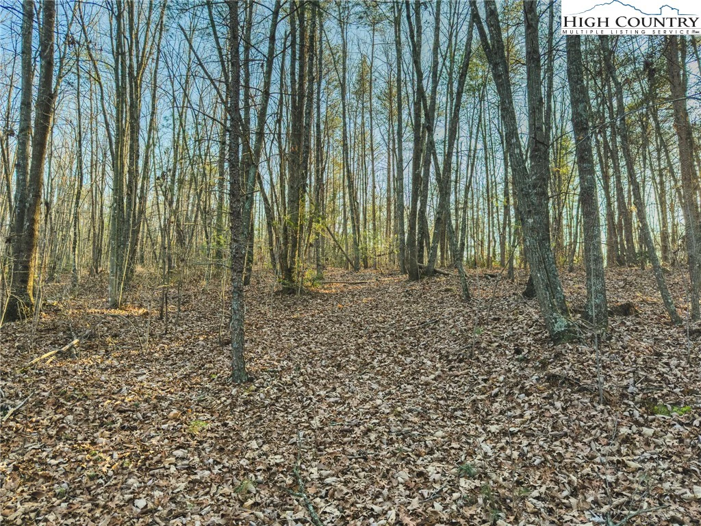 Image number 18 for the current listing