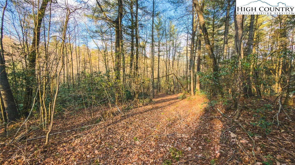 Image number 16 for the current listing