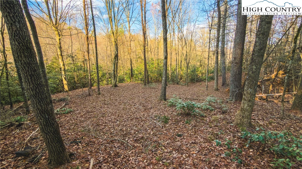 Image number 2 for the current listing