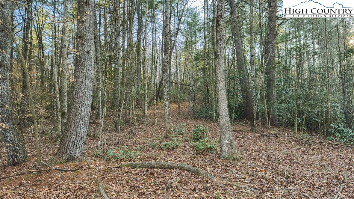 Image number 12 for the current listing