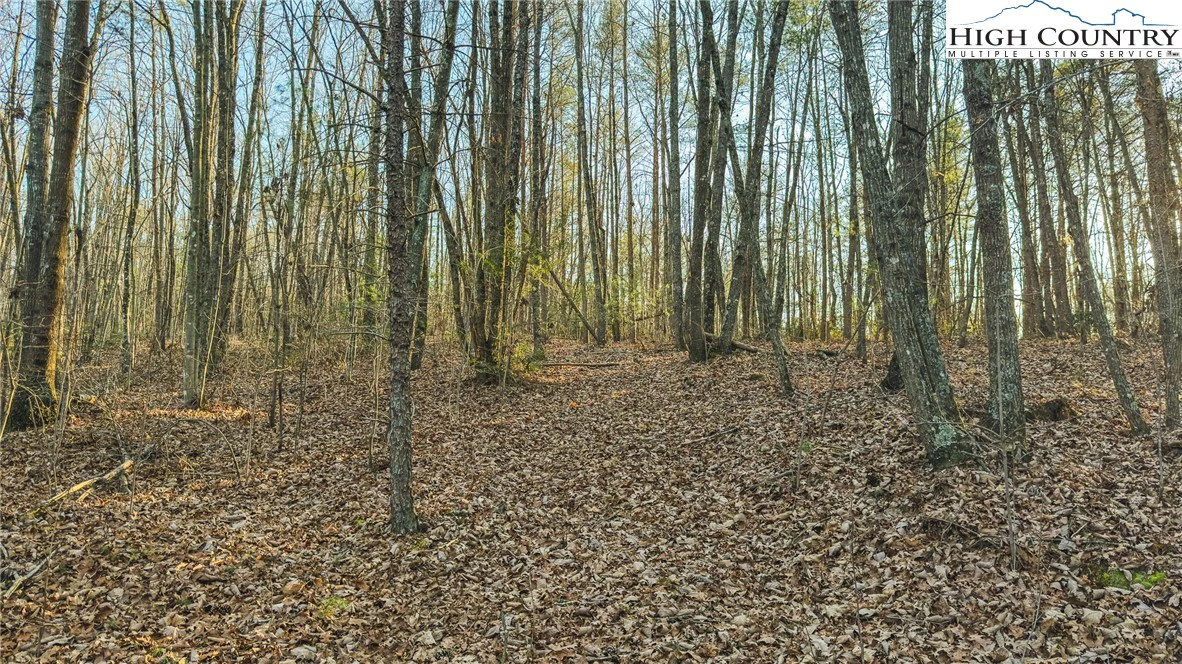 Image number 11 for the current listing
