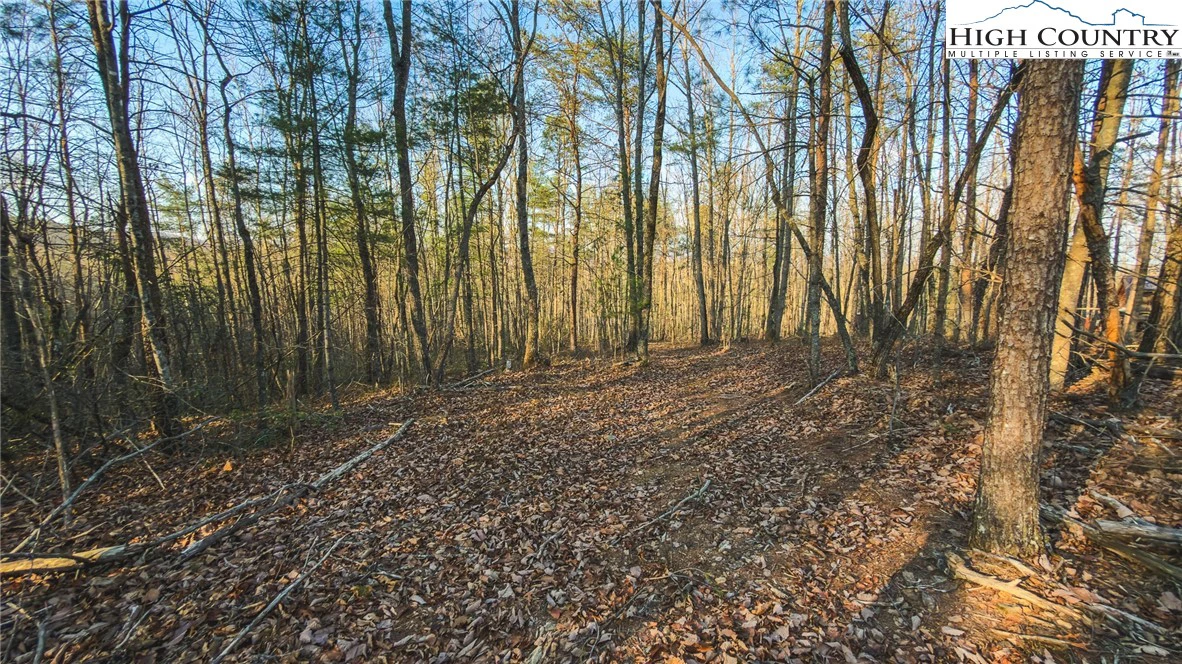 Image number 10 for the current listing