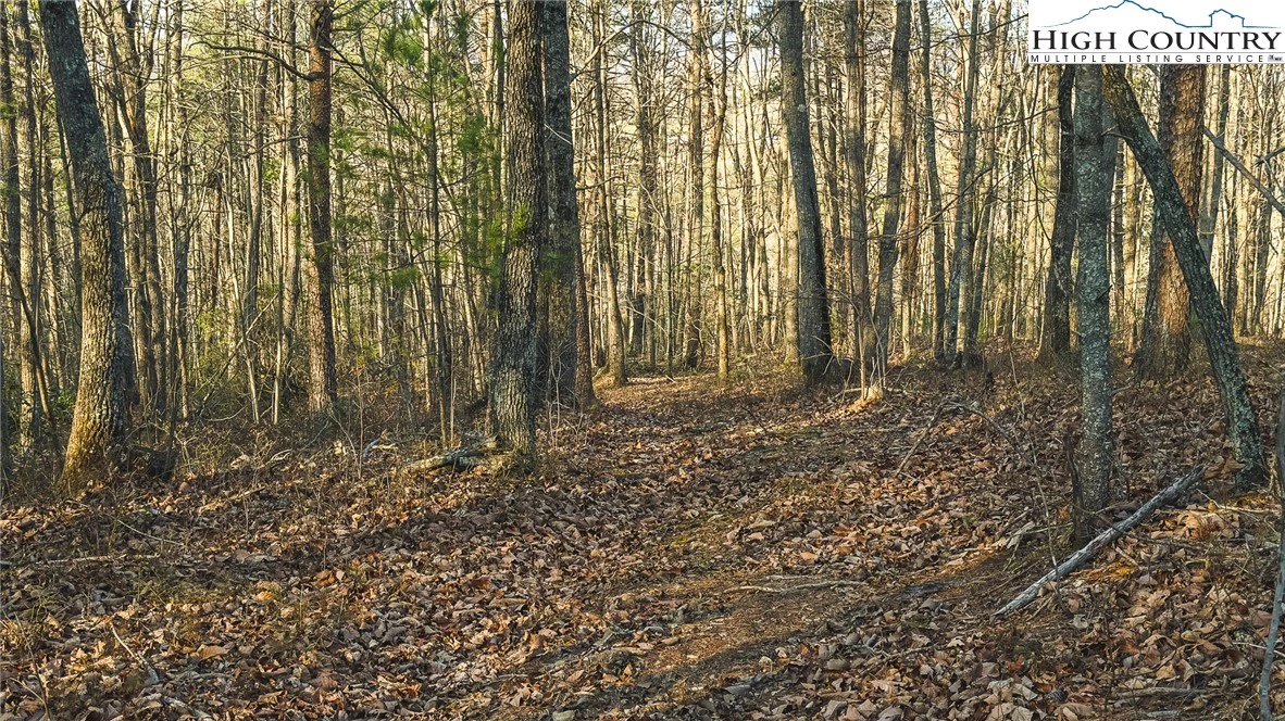 Image number 9 for the current listing