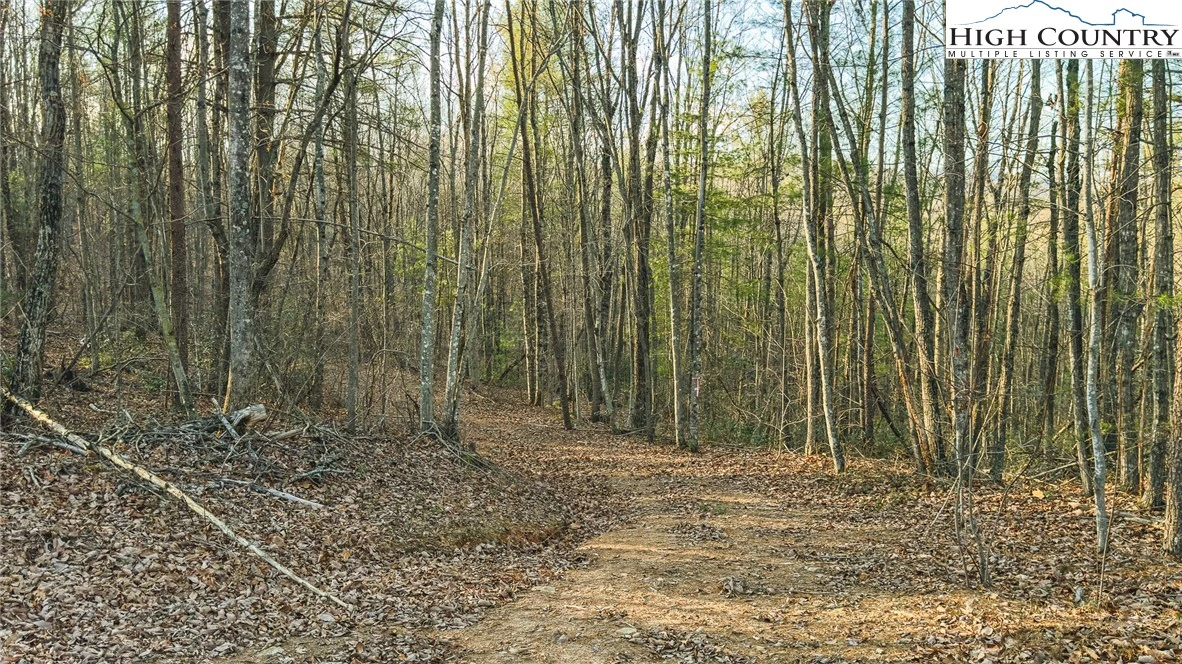 Image number 8 for the current listing