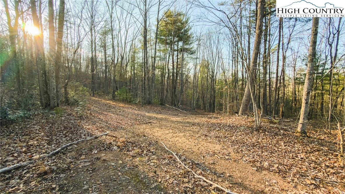 Image number 7 for the current listing