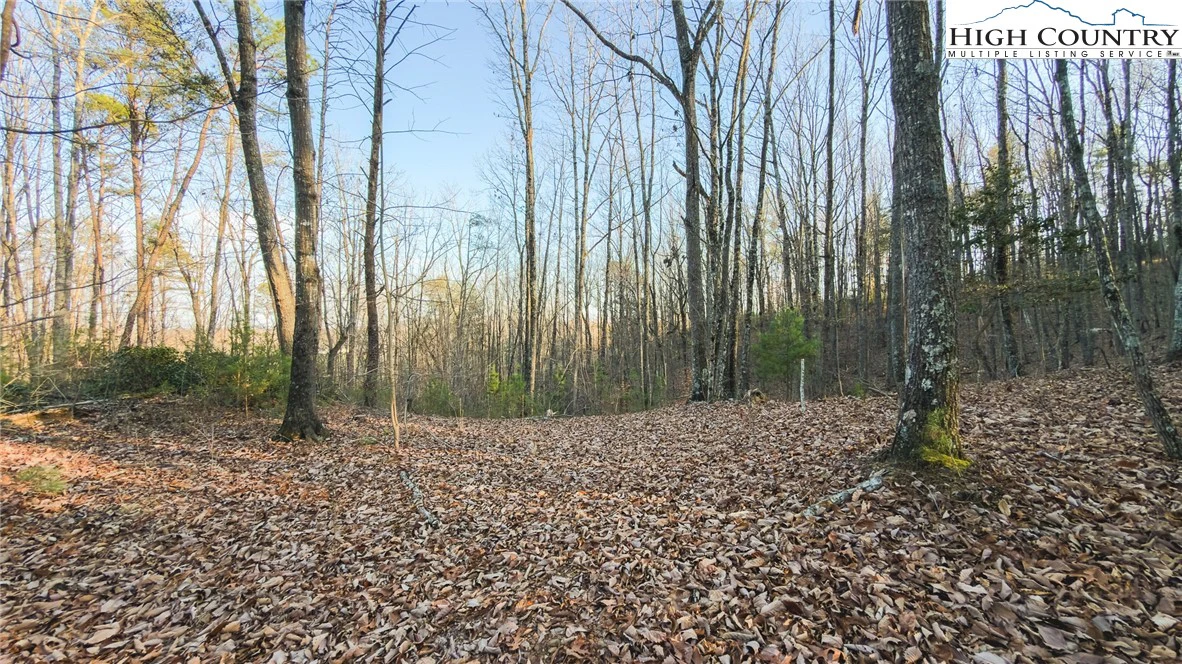 Image number 5 for the current listing