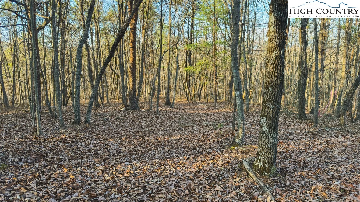 Image number 4 for the current listing