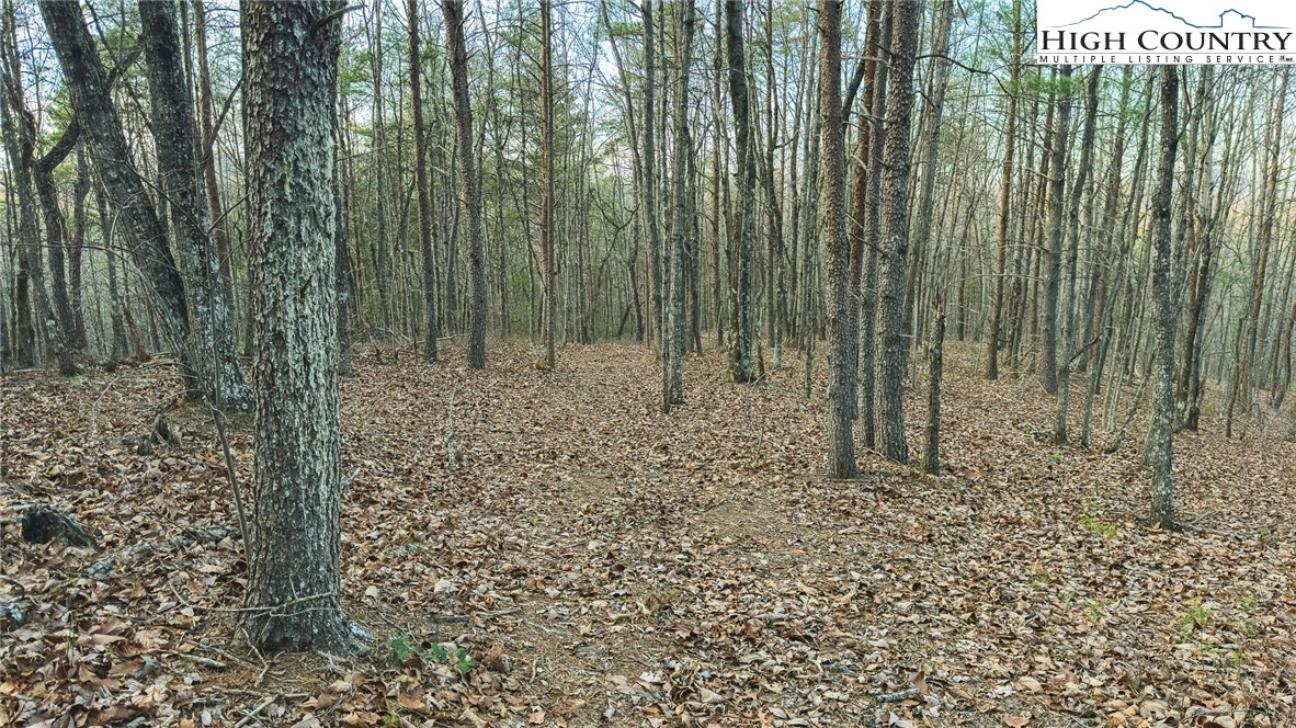 Image number 3 for the current listing