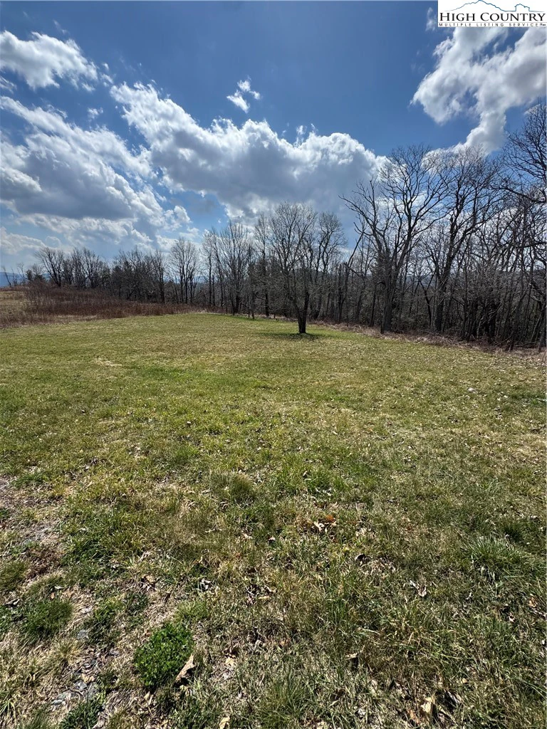 Image number 1 for the current listing