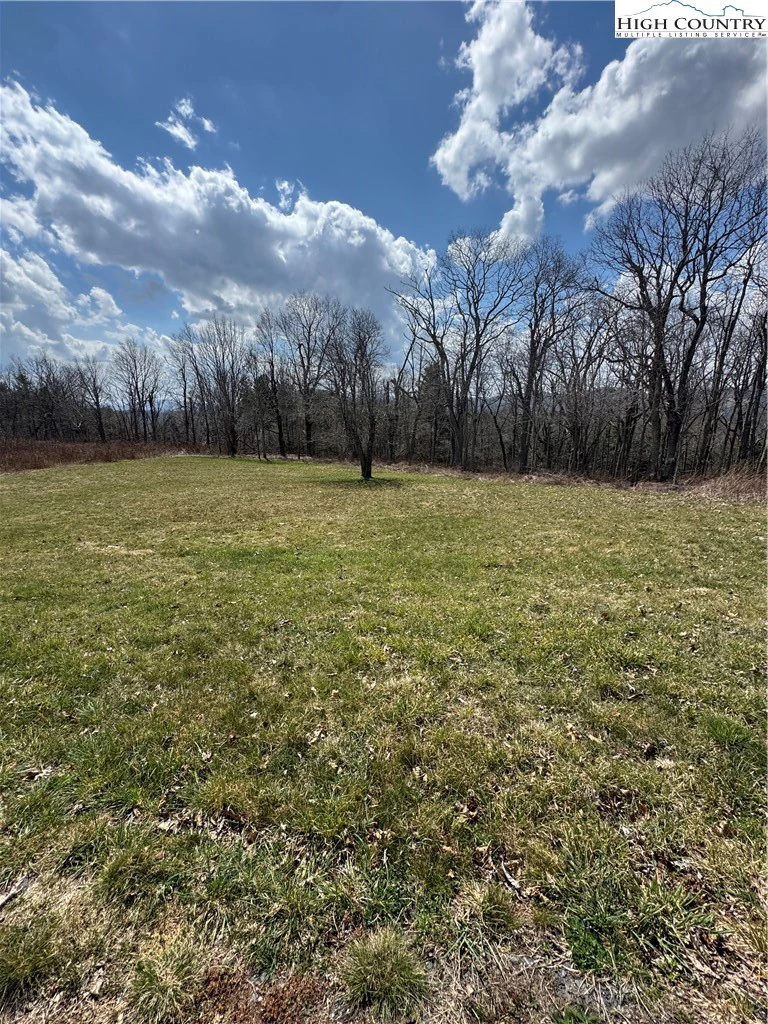 Image number 4 for the current listing