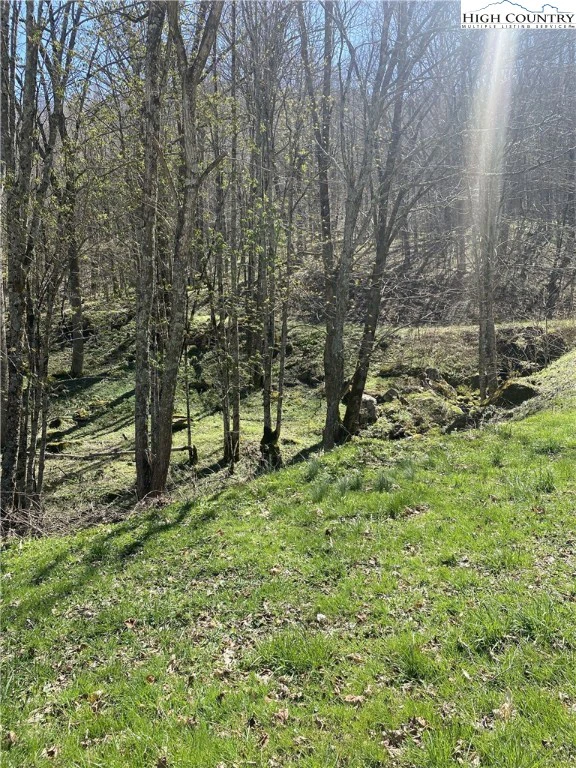 Image number 3 for the current listing
