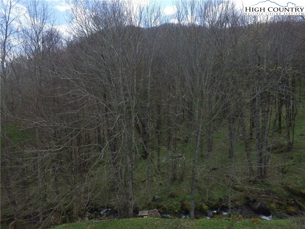 Image number 6 for the current listing