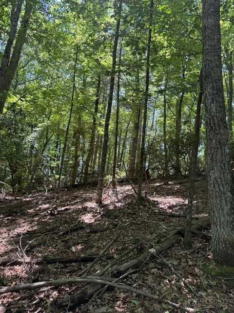 Image number 3 for the current listing