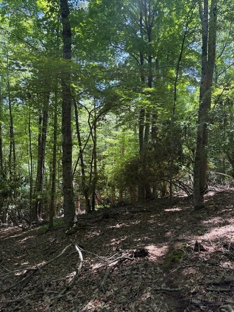 Image number 4 for the current listing