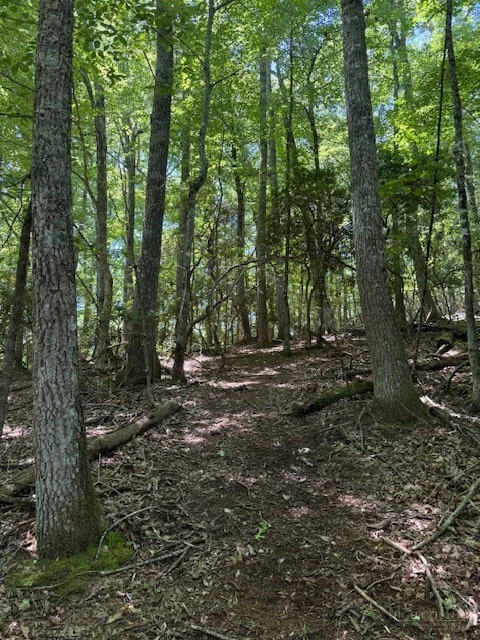 Image number 7 for the current listing