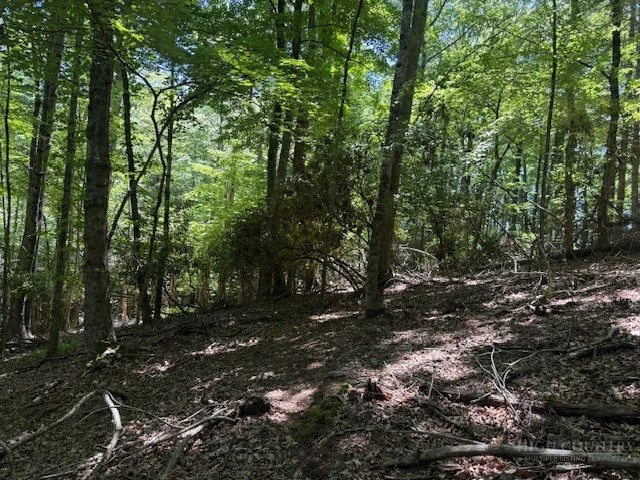Image number 9 for the current listing