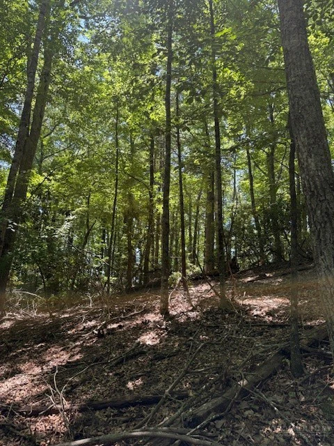 Image number 10 for the current listing