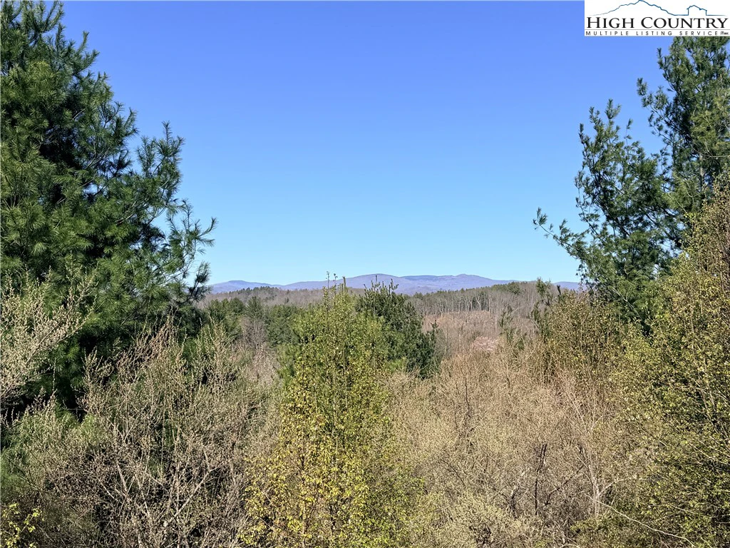Image number 1 for the current listing