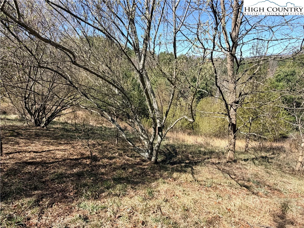 Image number 4 for the current listing