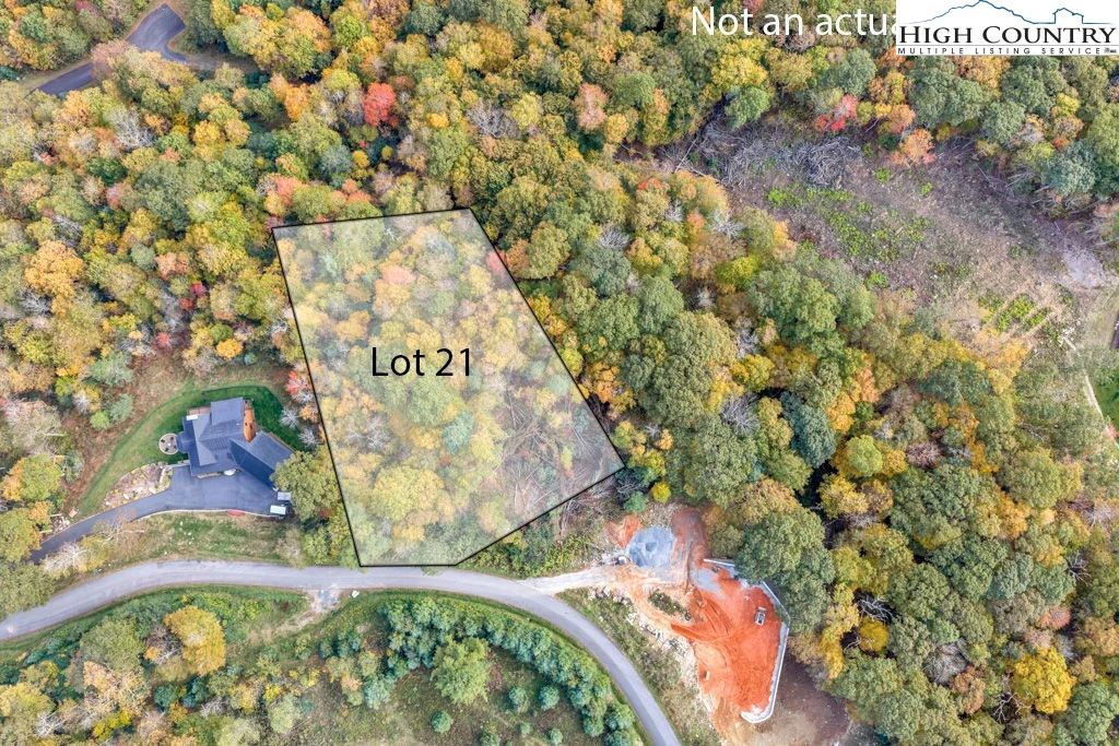 Image number 8 for the current listing