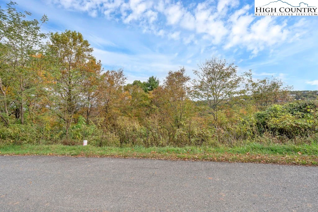 Image number 4 for the current listing