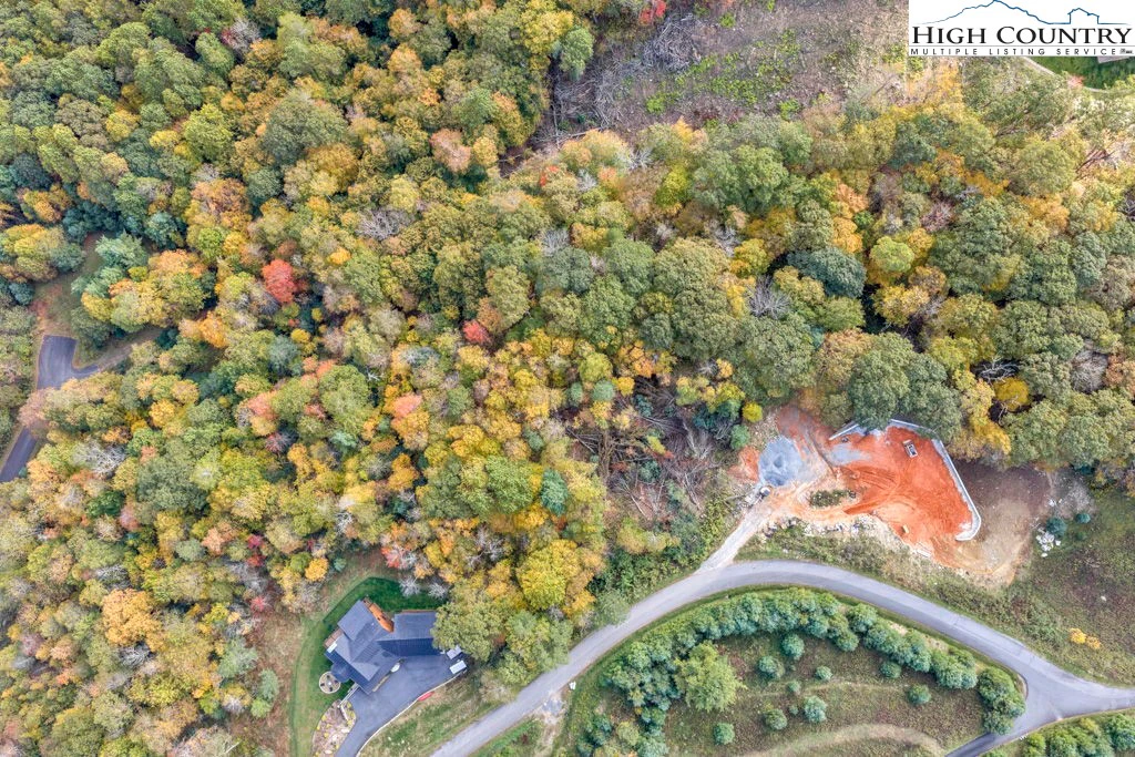 Image number 5 for the current listing